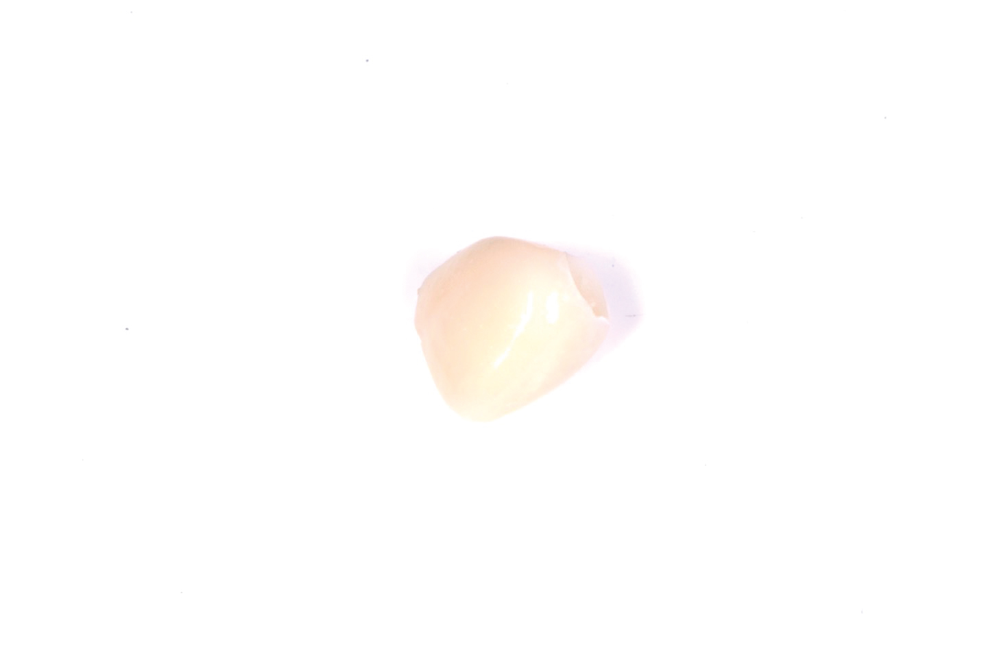 fig.5