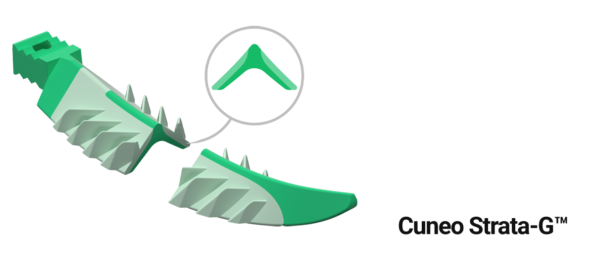 Cuneo Strata-G