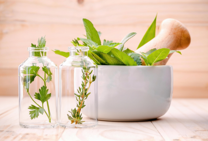 piante ed erbe medicinali