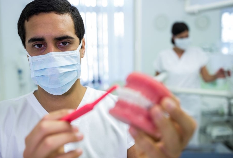 medico con spazzolino e modellino di denti in mano