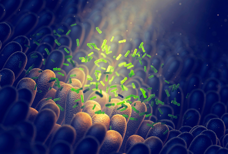 microbioma