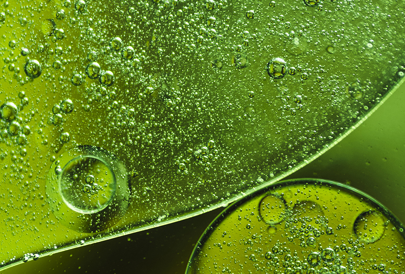 Aloe