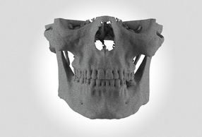 Replica anatomica