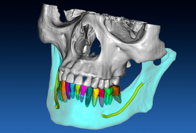 RealGUIDE™ 5.4 Software Suite, impara e cresce con te Software RealGUIDE™