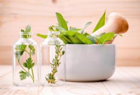 piante ed erbe medicinali