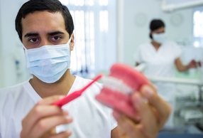 medico con spazzolino e modellino di denti in mano