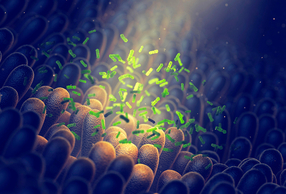 microbioma