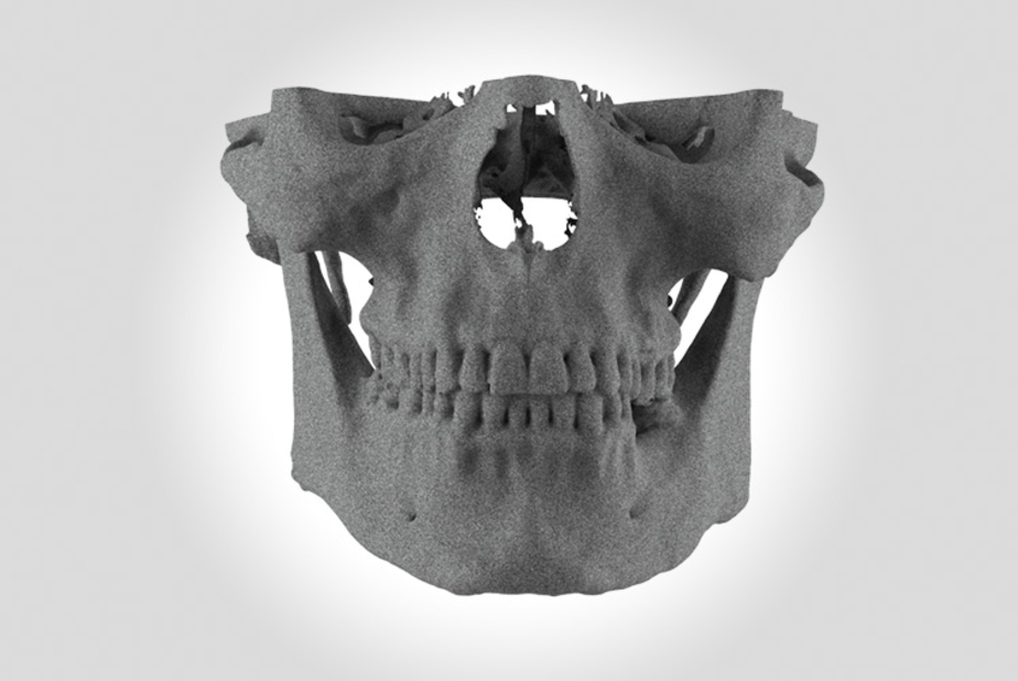 Replica anatomica