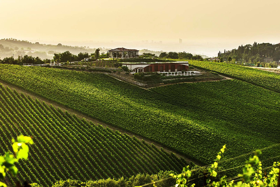 Zirkonzahn tra arte e cultura vista di una collina di un casale stile toscano e il suo vigneto
