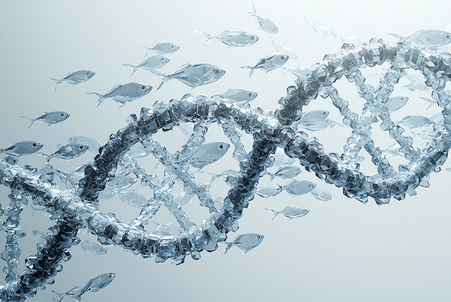 Filler con sperma di pesce: moda in crescita, ma emergono dubbi DNA