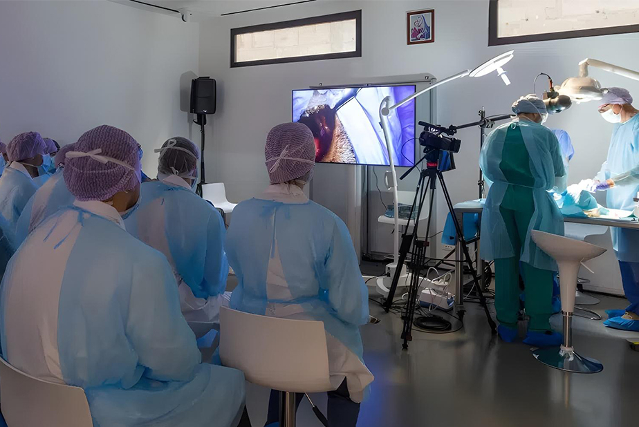 Al Campus Bio-Medico di Roma il primo "Antomy Lab UCBM" Al Campus Bio-Medico di Roma il primo "Antomy Lab UCBM"