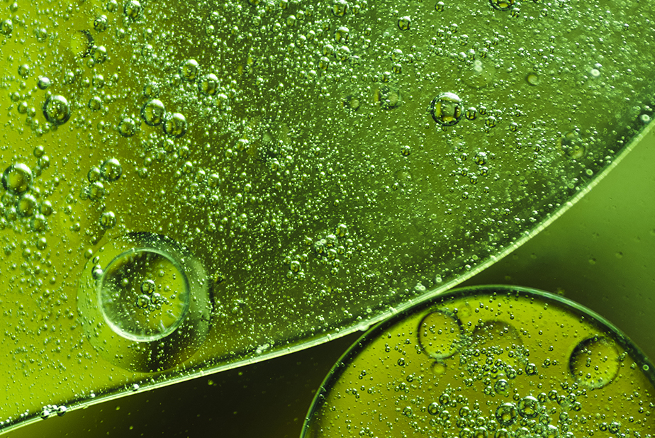 Aloe